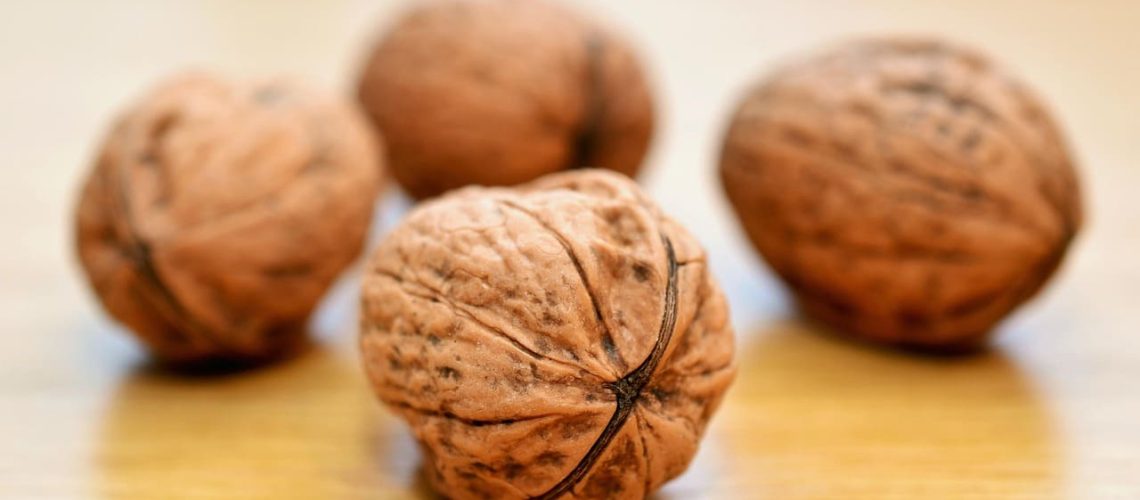 congerdesign-walnuts-552975_1280 (1)
